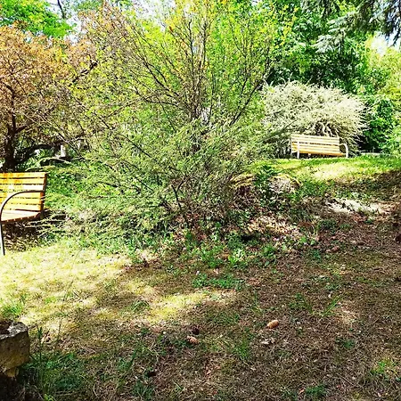 Les Du Vignal De Cheyrac Apartment