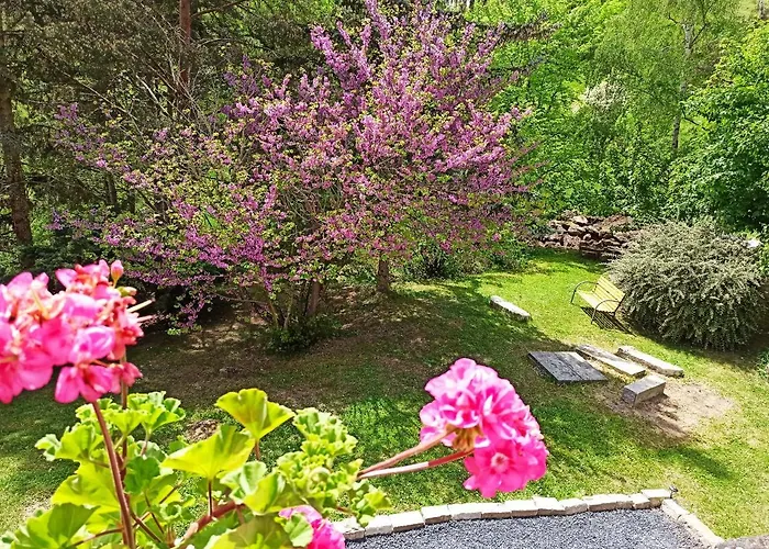 Апартаменты Les Du Vignal De Cheyrac Polignac (Haute-Loire)